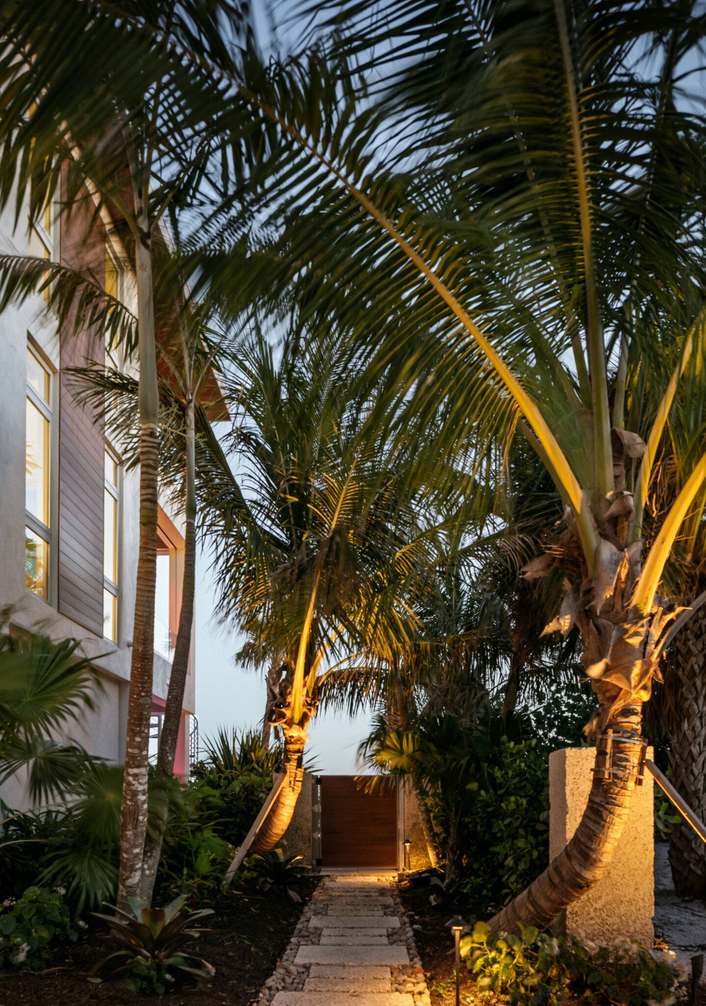 Side path through palms to the beach at dusk