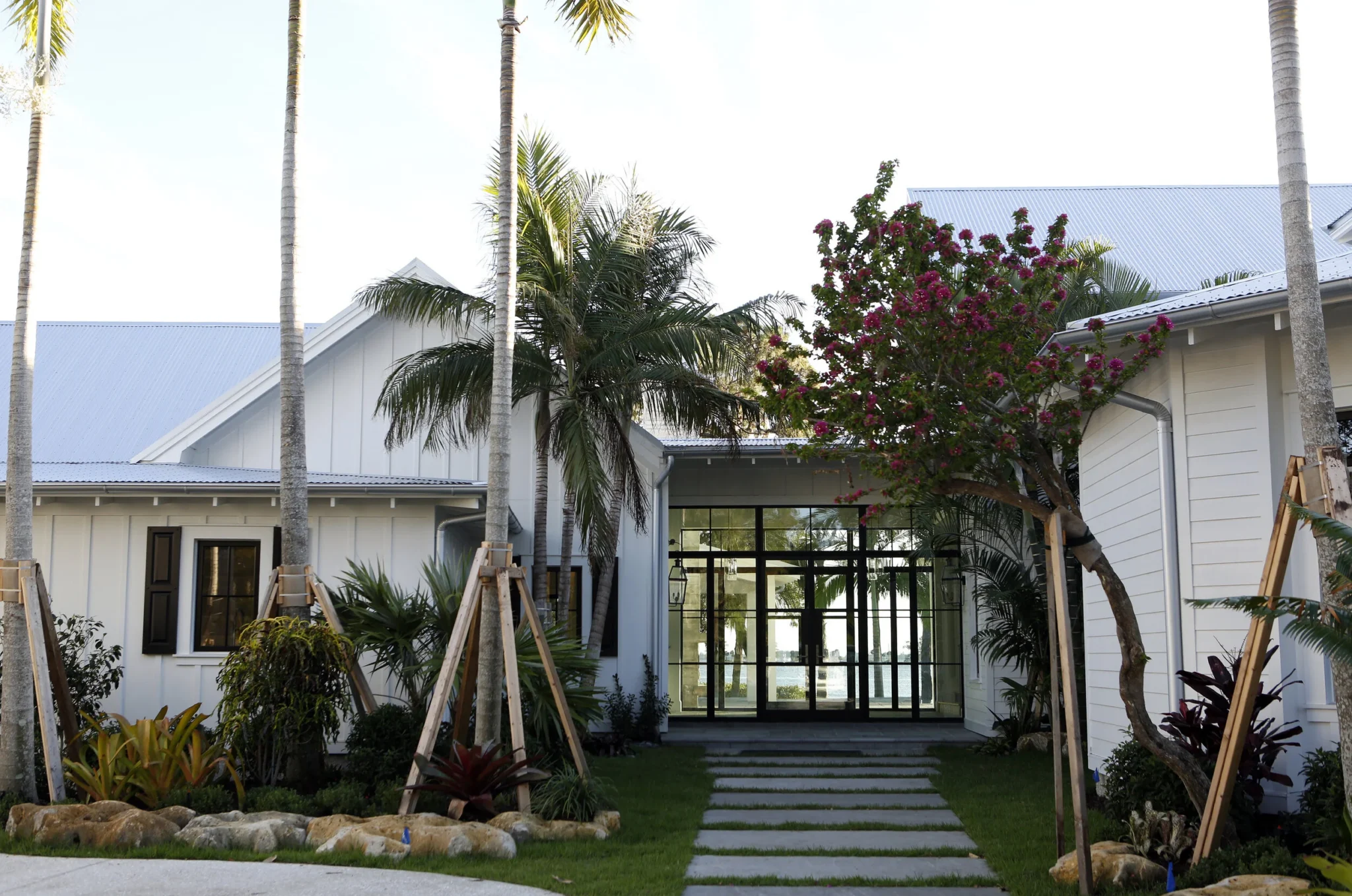 Modern farmhouse entry with white walls, glass entrance, palm trees, vibrant flowering tree, and landscaped yard