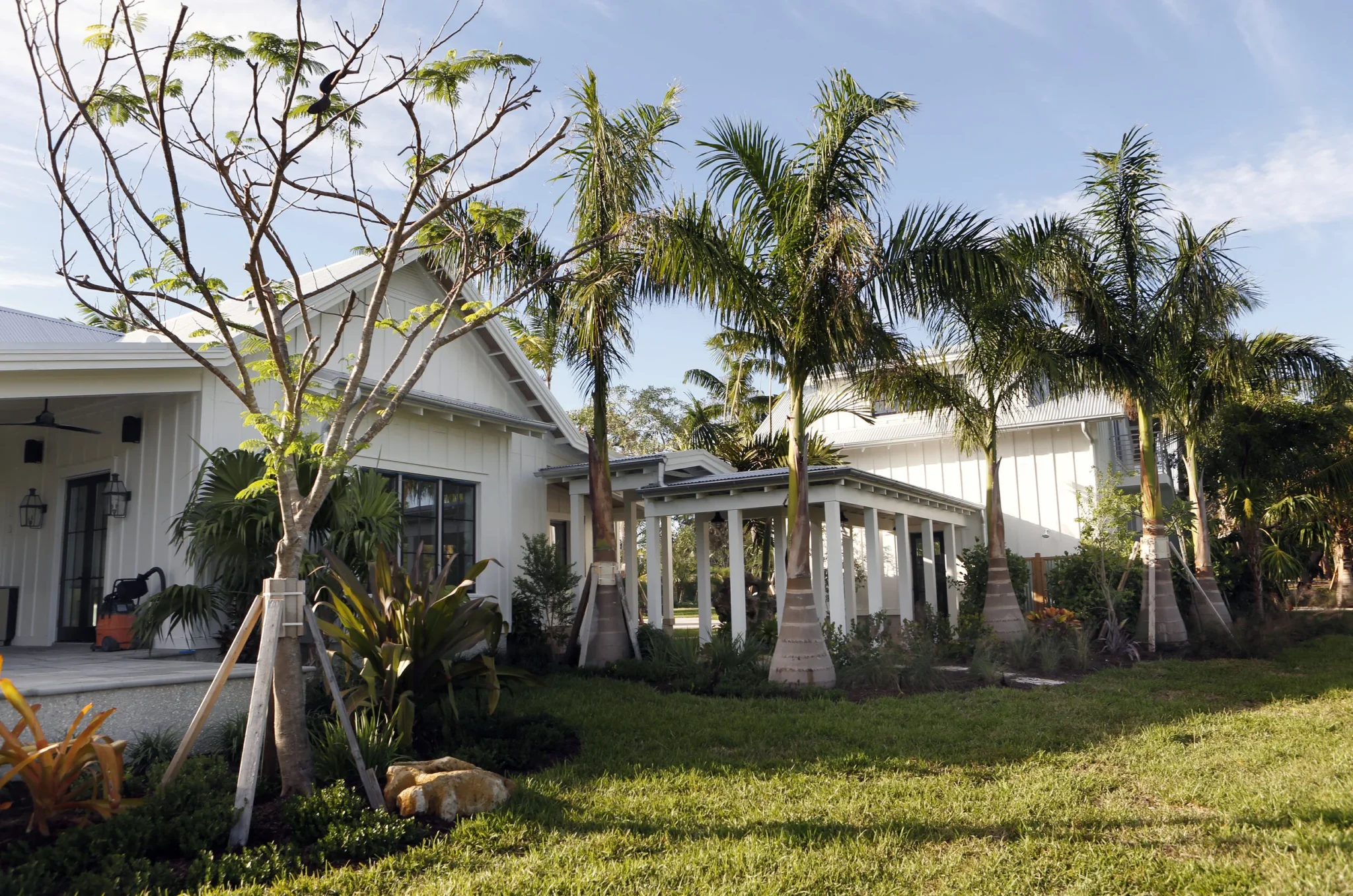 A residential backyard with a well-maintained lawn, tall palm trees, a small leafless tree